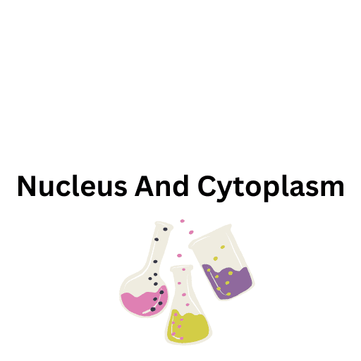 Nucleus And Cytoplasm